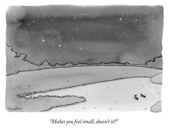 ants makes you feel small