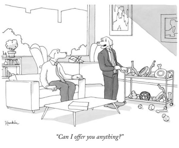 can-i-offer-you-anything